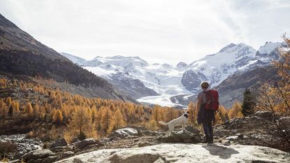 A woman and her dog are hiking in Switzerland.