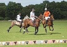 Polopuffa.jpg