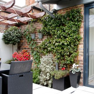 garden with brick wall and potted plants