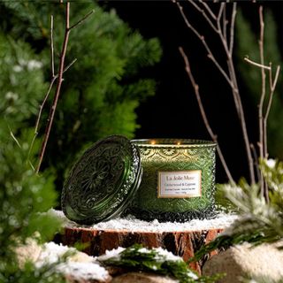 La Jolie Muse Christmas Candles against a forest background.
