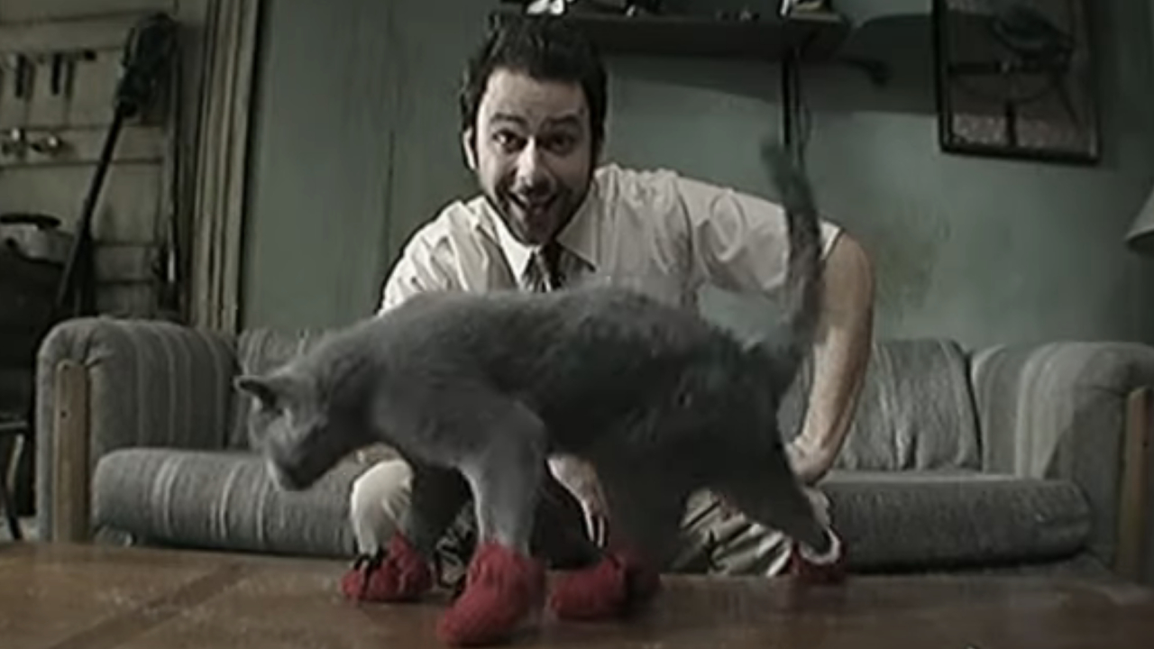 Charlie Day as Charlie Kelly and a cat wearing mittens on It's Always Sunny in Philadelphia