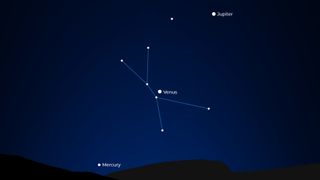 A graphic showing the positions of planets in the predawn sky on Sept. 1. Mercury is visible close to the horizon, with Venus positioned diagonally to its right among the stars of the constellation Cancer, with Jupiter in a line beyond.