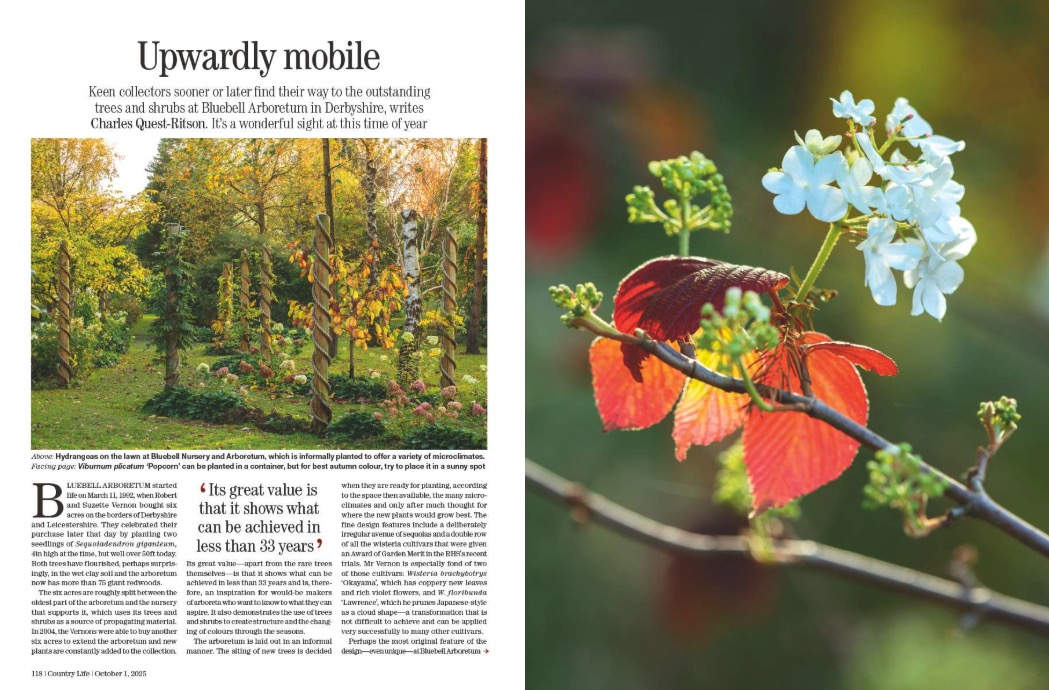 Magazine spread from Country Life 1 October 2025