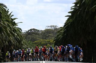 TANUNDA AUSTRALIA JANUARY 16 A general view of the peloton competing during the 24th Santos Tour Down Under 2024 Stage 1 a 144km stage from Tanunda to Tanunda UCIWT on January 16 2024 in Tanunda Australia Photo by Tim de WaeleGetty Images
