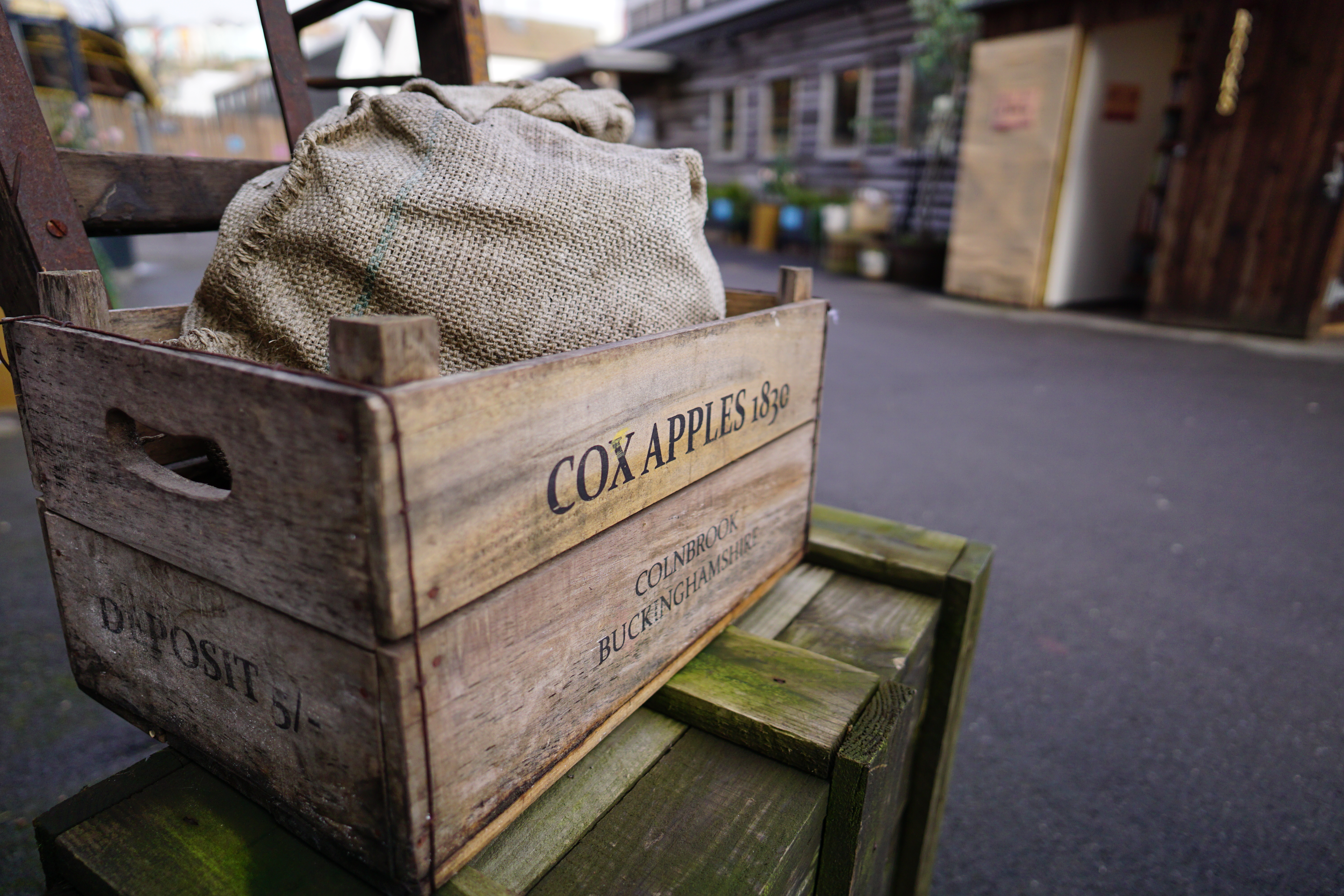 Sigma 15mm f/1.4 DC | C sample image