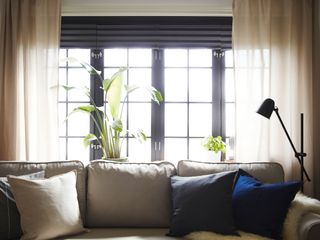 Block out pleated blinds in bedroom with houseplants and dark bedding