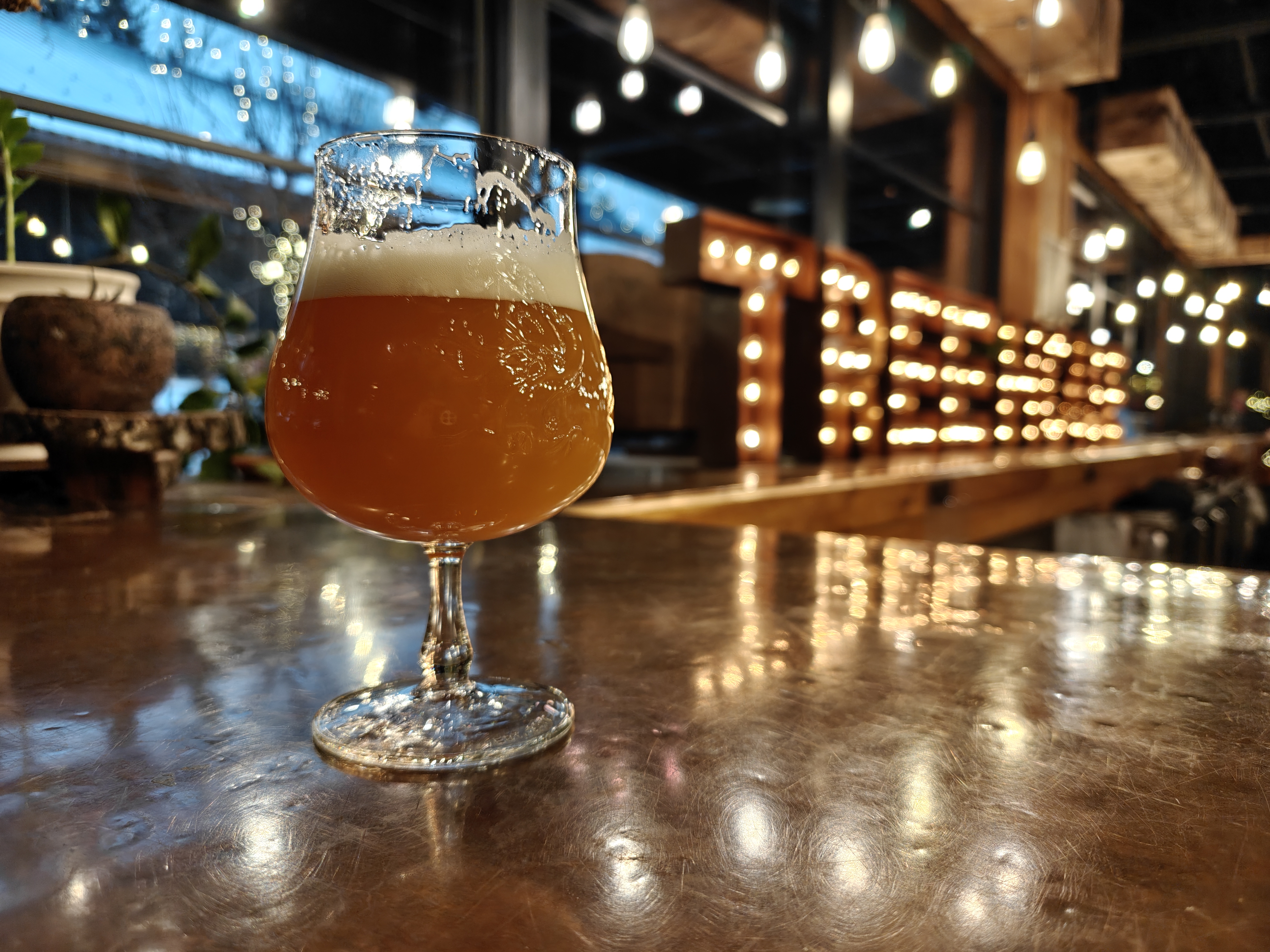 A beer in a tulip glass with Tree House in lights behind