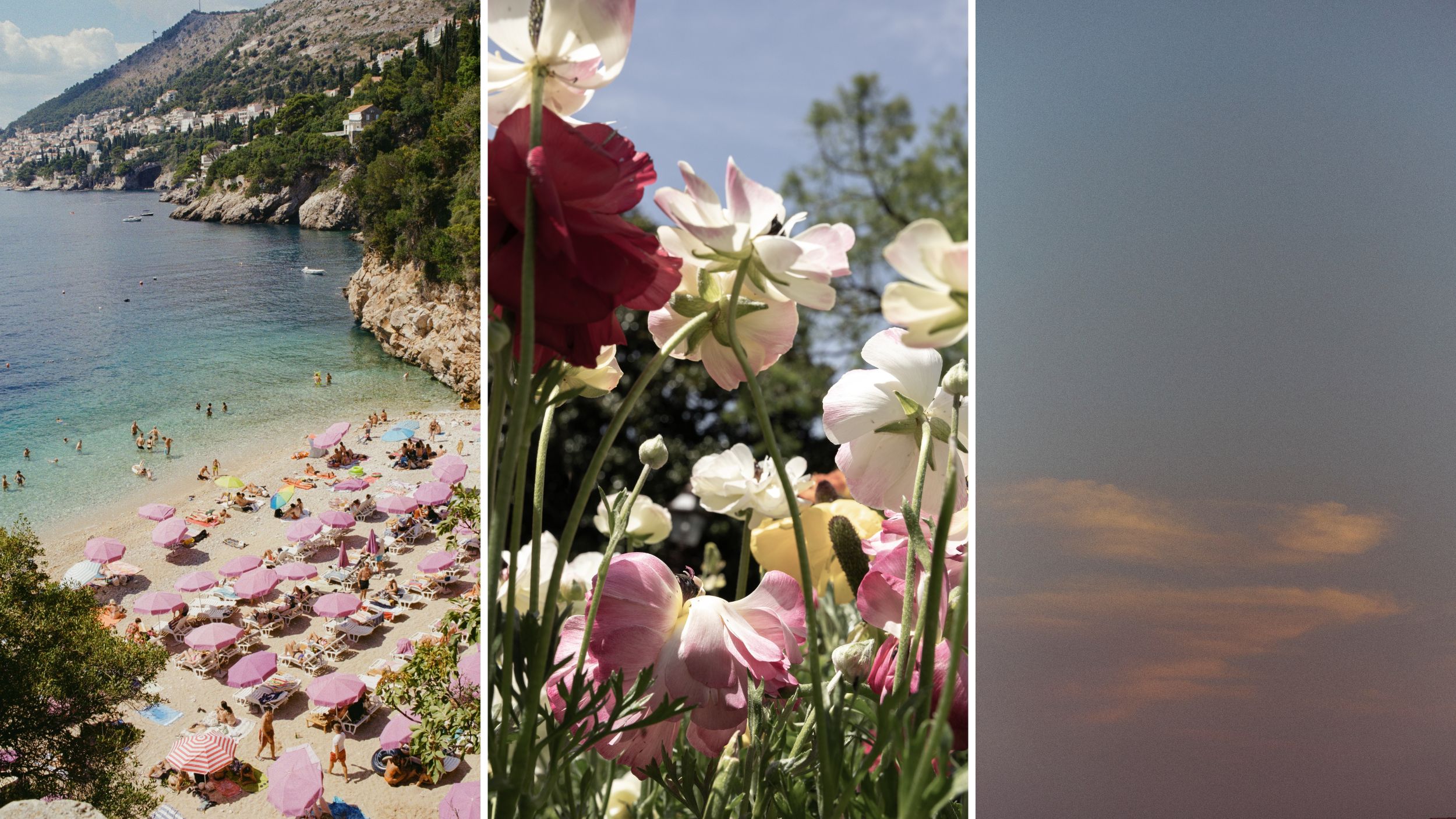A beach, flowers in a meadow, and a pink and blue sunset