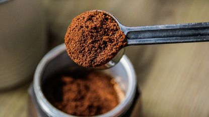 coffee grounds in a metal scoop