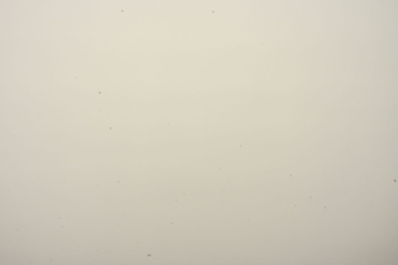 Nikon auto sensor cleaning