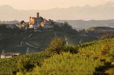 Vietti winery in Castiglioni Falletto