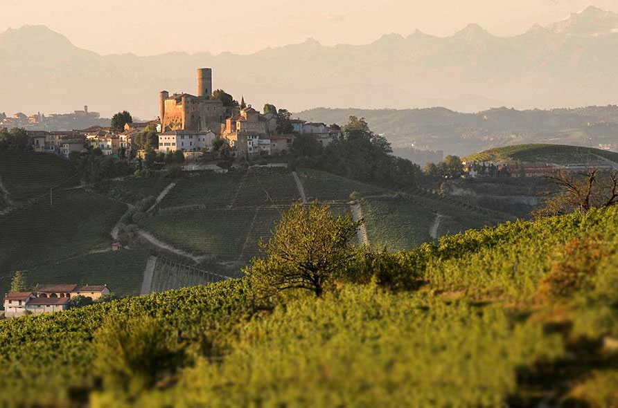 Vietti winery in Castiglioni Falletto