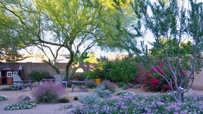 xeriscaped garden design