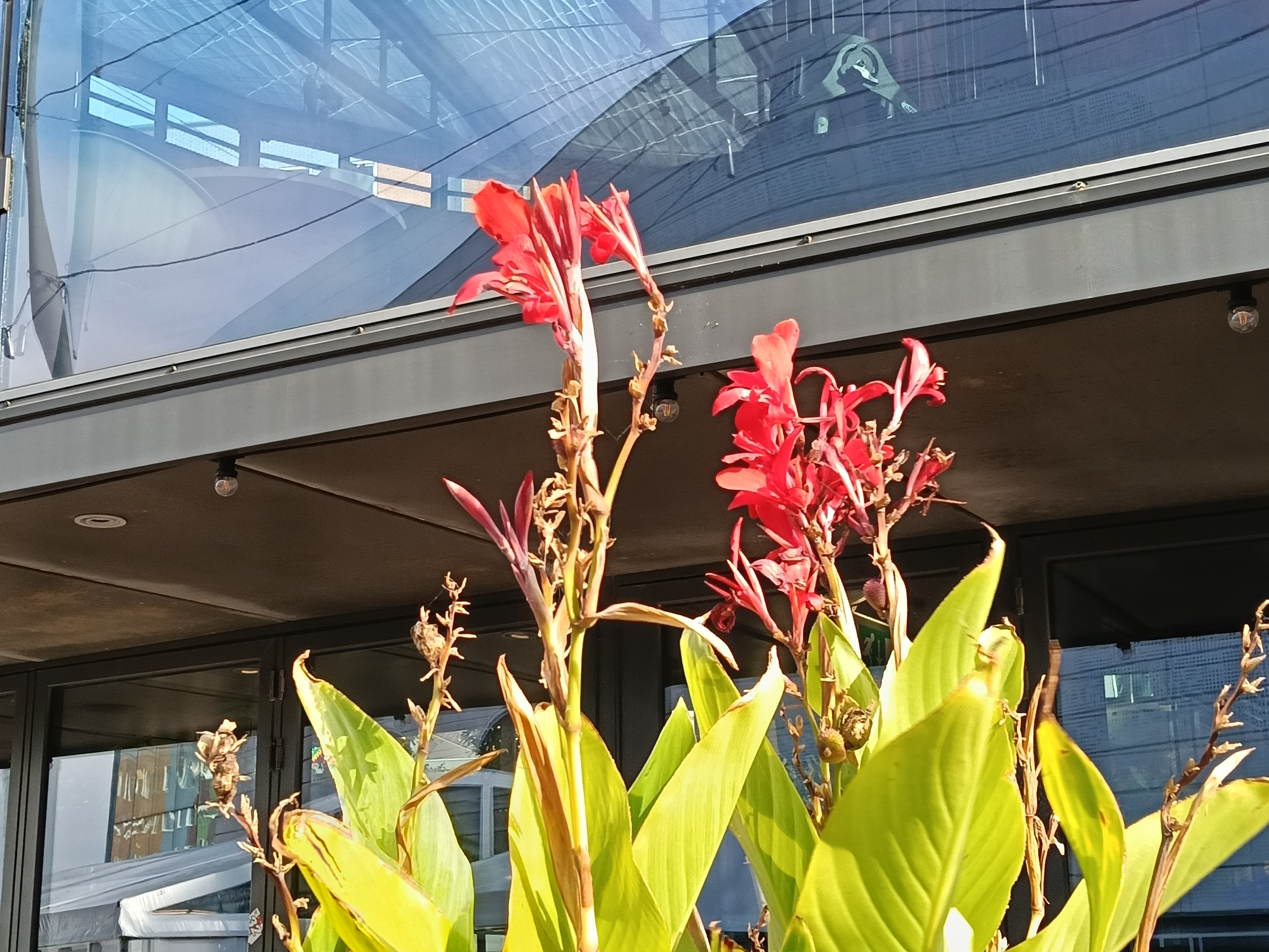 OPPO A5 Pro 5G cameravoorbeelden