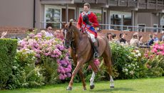 Barberstown Castle supreme ridden horse championship