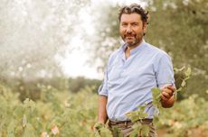 Italian wine future greats