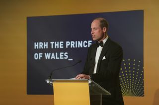 Prince William at the 2024 Diana Awards