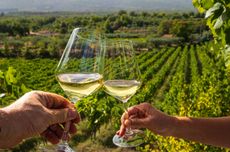 Two hands holding glasses of white wine in vineyard