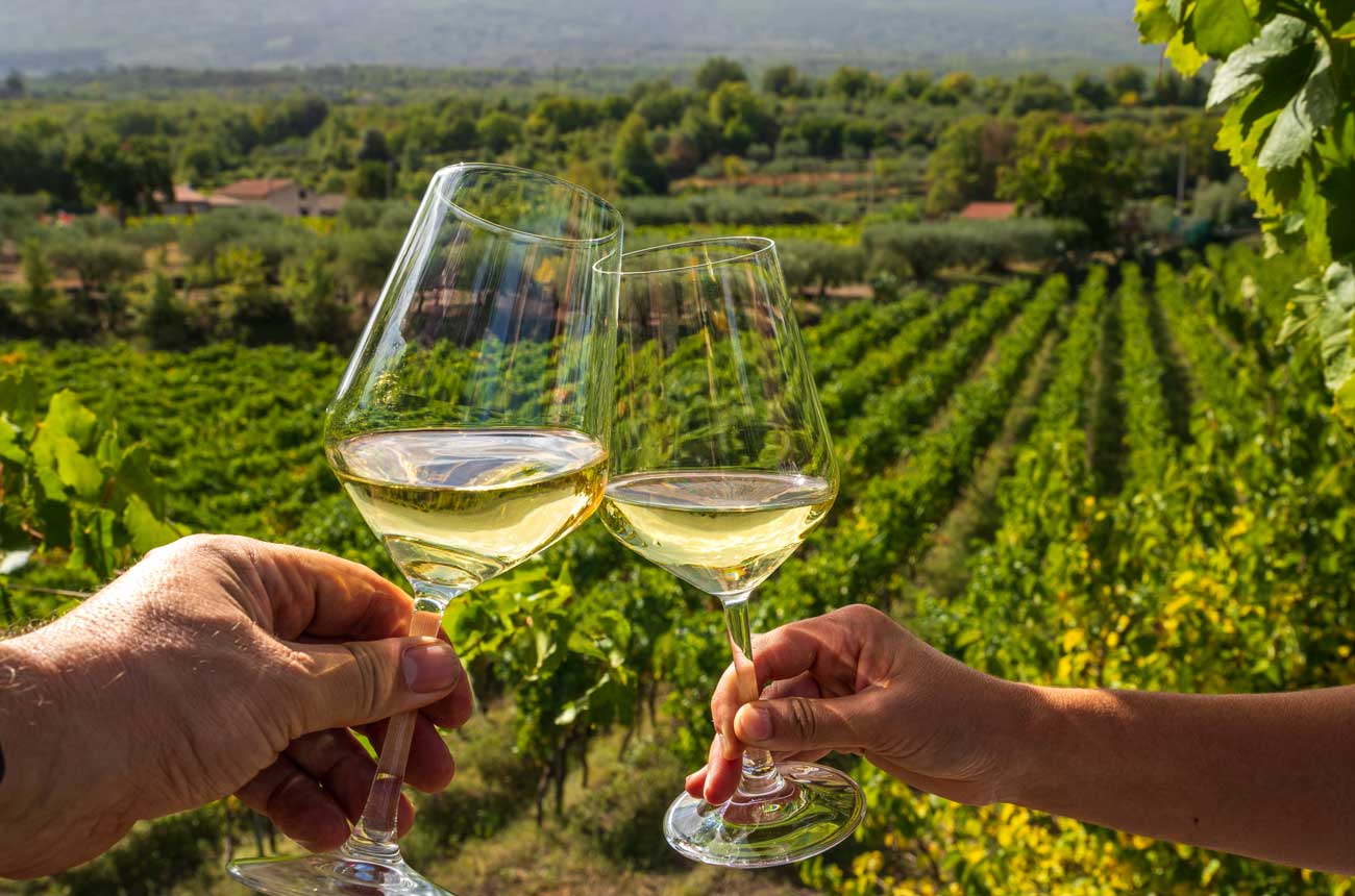 Two hands holding glasses of white wine in vineyard