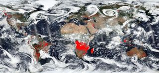 An image of NASA's Worldview highlights in red regions of the planet where satellite thermal imagers detect actively burning fires.