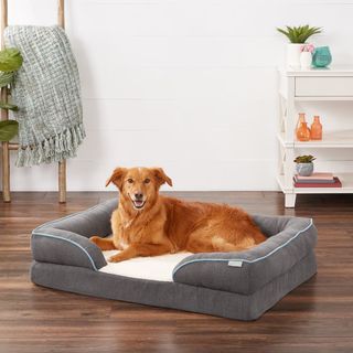 Frisco Plush Orthopaedic Front Bolster Bed