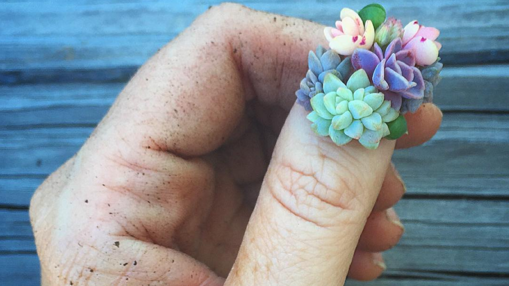 Blue, Hand, Nail, Flower, Finger, Plant, Turquoise, Spring, Ring, Fashion accessory, 