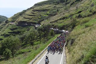 The peloton on stage four of the 2016 Giro d'Italia