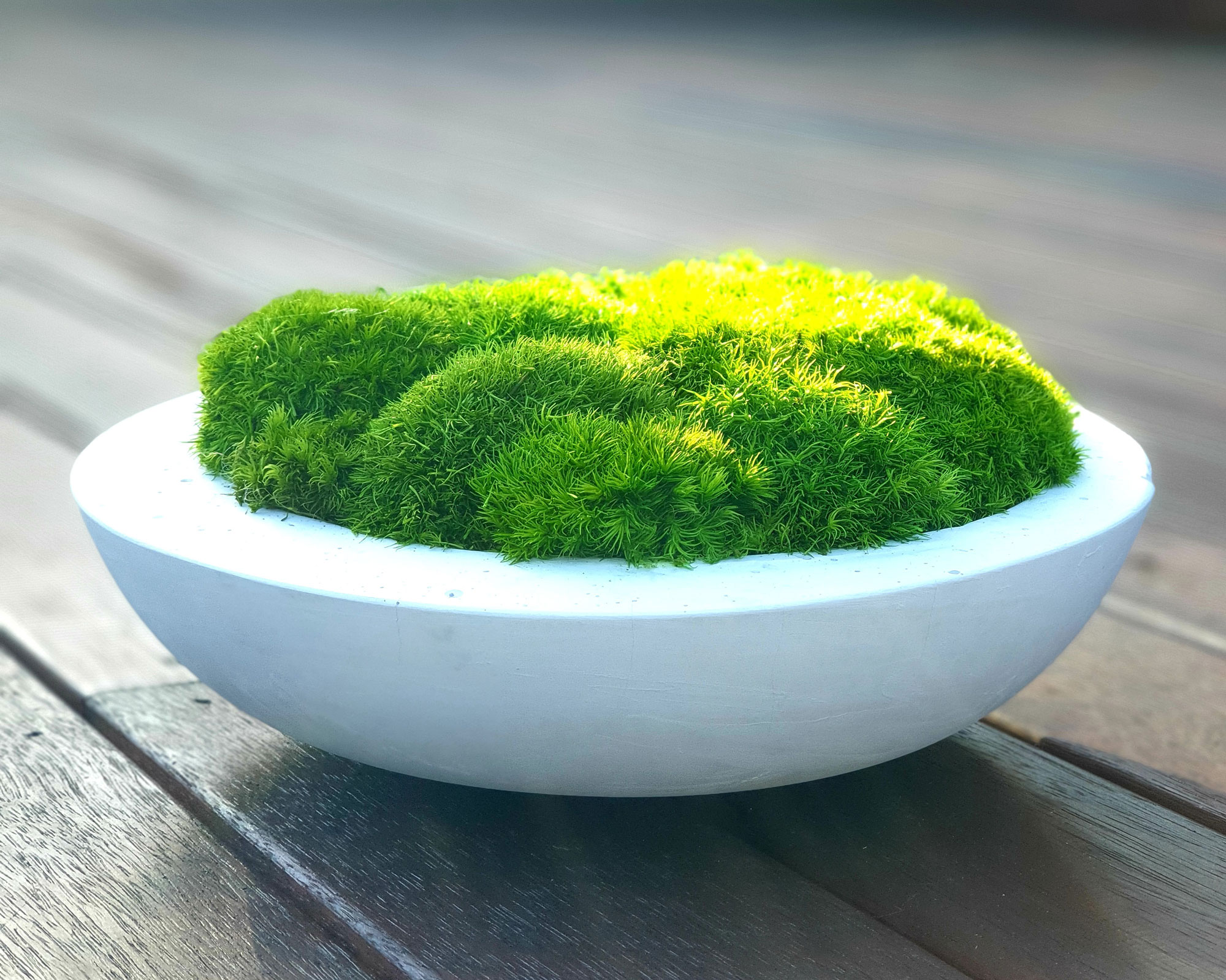 Moss bowl trend - everything you need to know | Real Homes