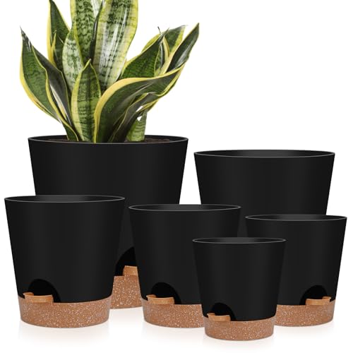 Ynnico Indoor Self Watering Planters With Drainage Holes and Saucers, 8, 7, 6.5, 6, 5.5, 5 Inches, Black, 6 Pots