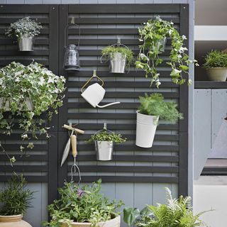 wooden trellis with potted plants