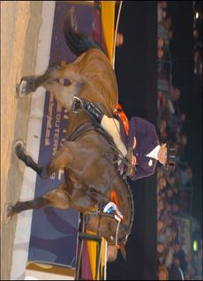 hoys2.jpg