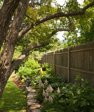 backyard tree and flower bed