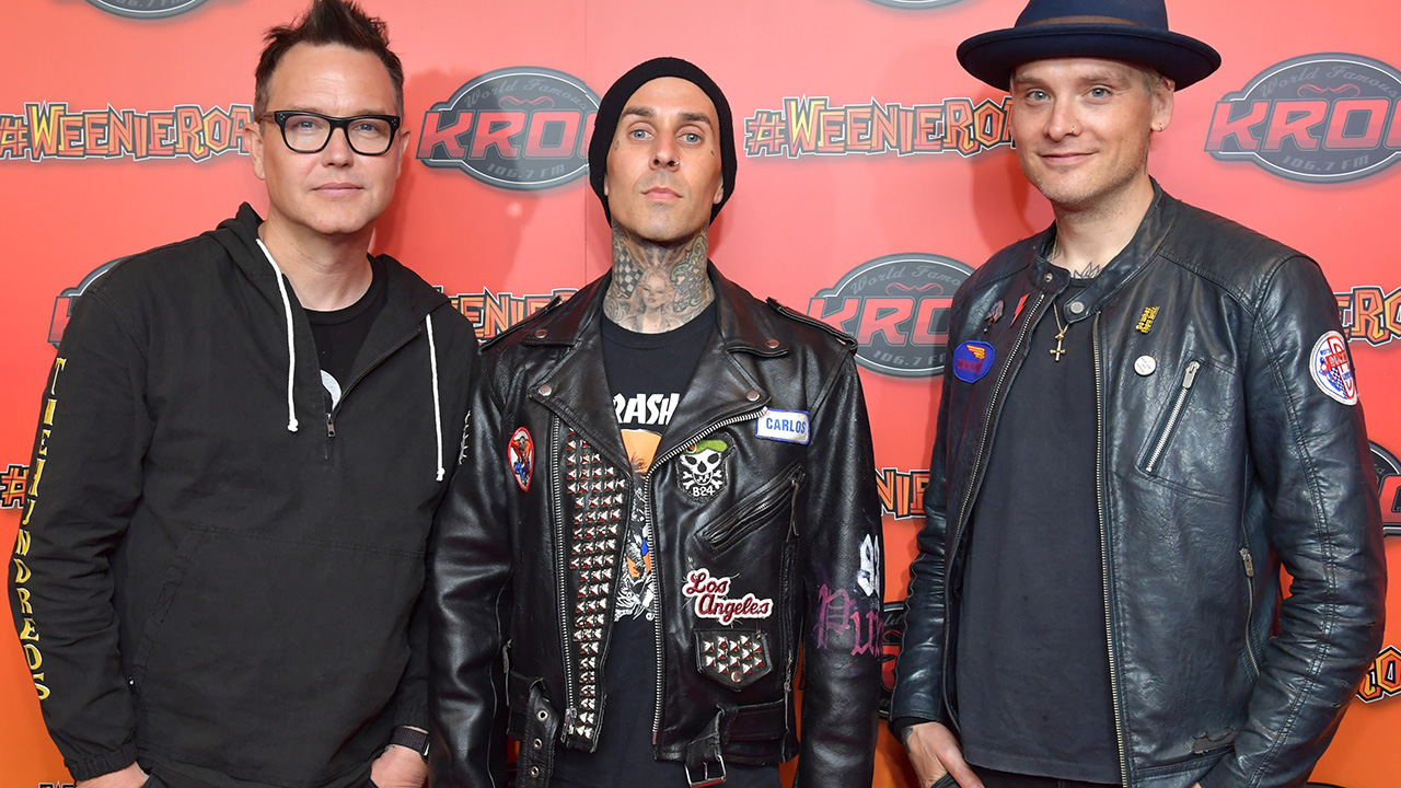 blink 182 tour cancelled