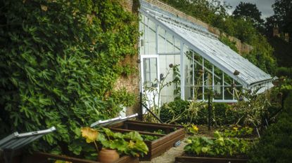 Greenhouse in a vegetable garden