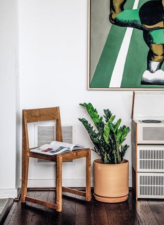 ZZ plant in room styled by Hilton Carter, Living Wild published by Cico Books