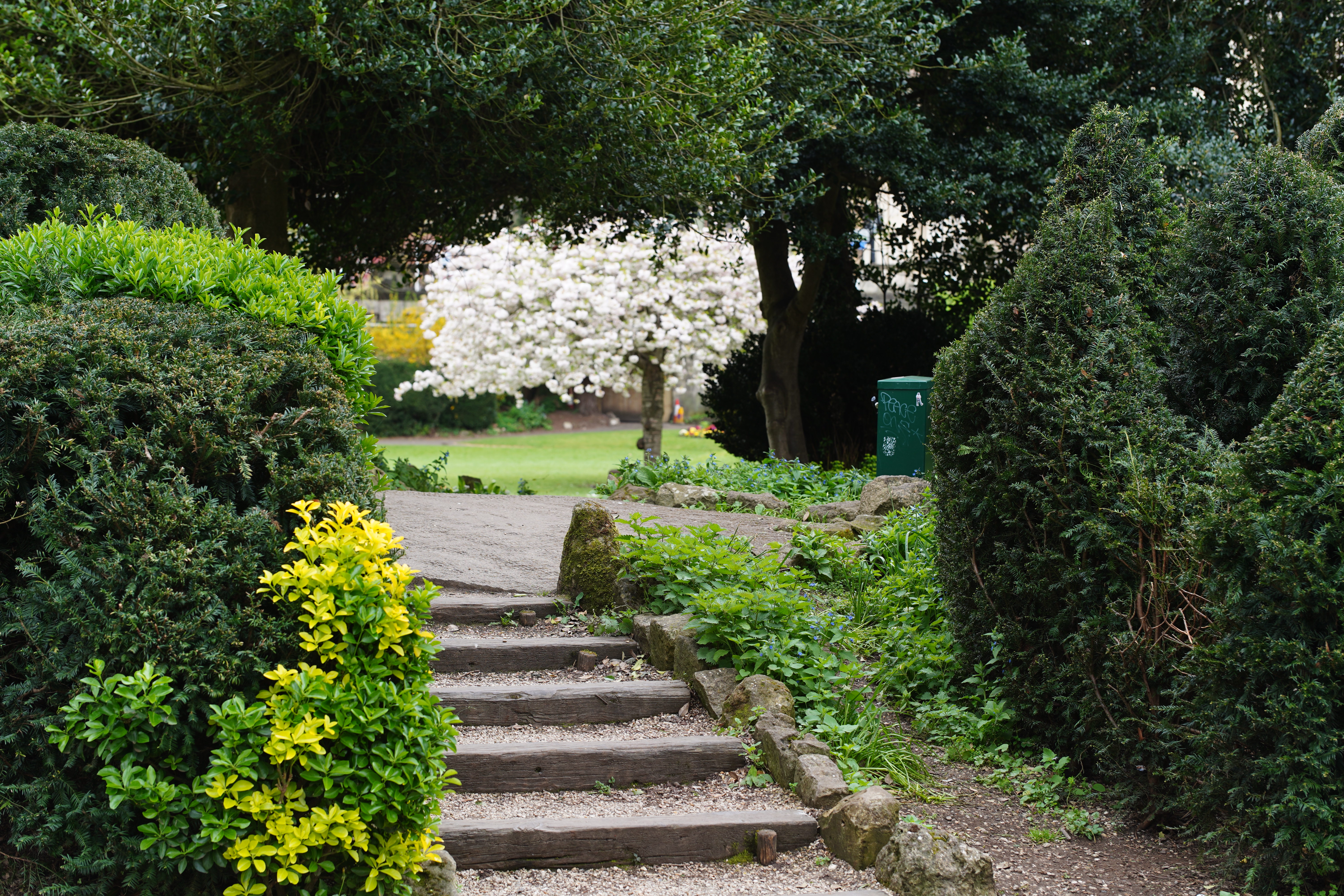 Meike AF 85mm f/1.8 SE II sample image