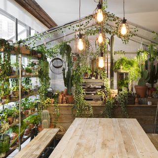 dinning area with wooden dinning table with bench lamps and plants