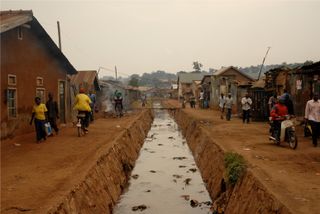 A drainage channel contaminated with sewage in Uganda.