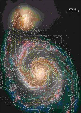 Young Galaxies Surprisingly Magnetic