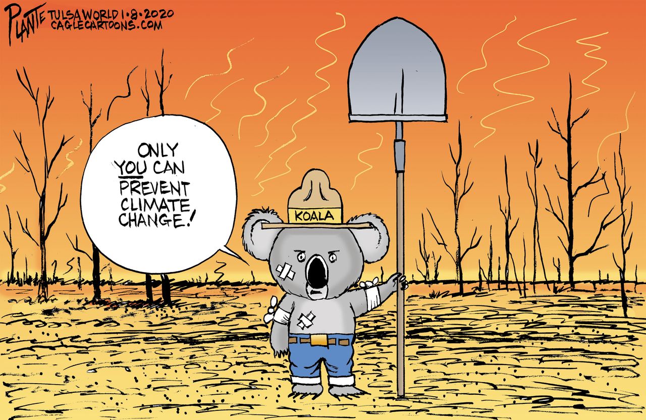 Editorial Cartoon World Australia wildfires koala