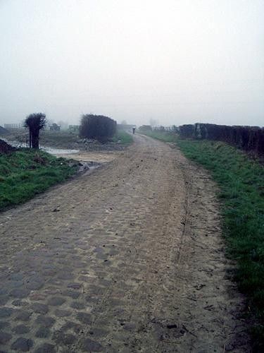 Viesly &agrave; Qui&eacute;vy Secteur 27 is very muddy.
