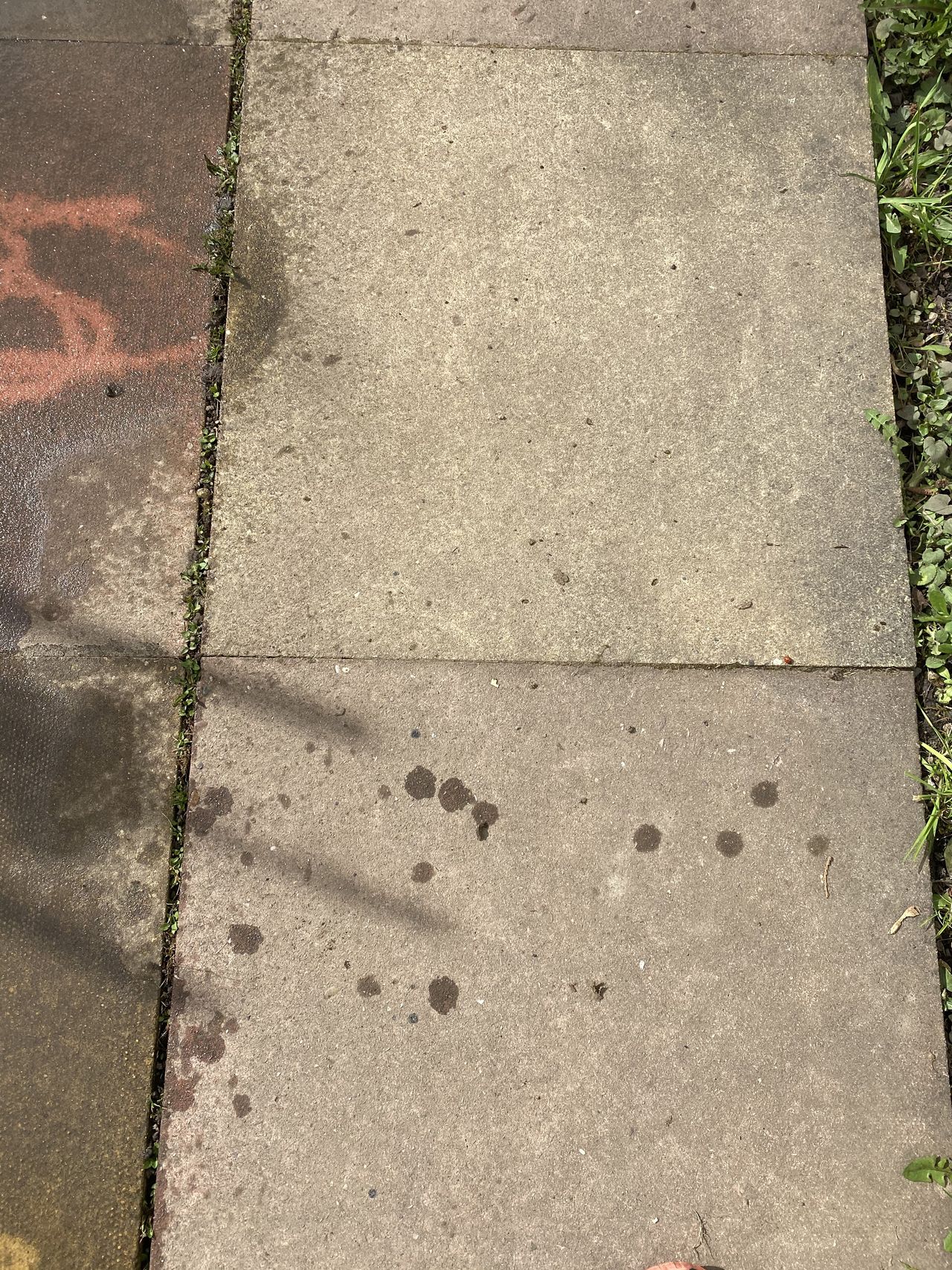 dirty paving slabs on a garden path