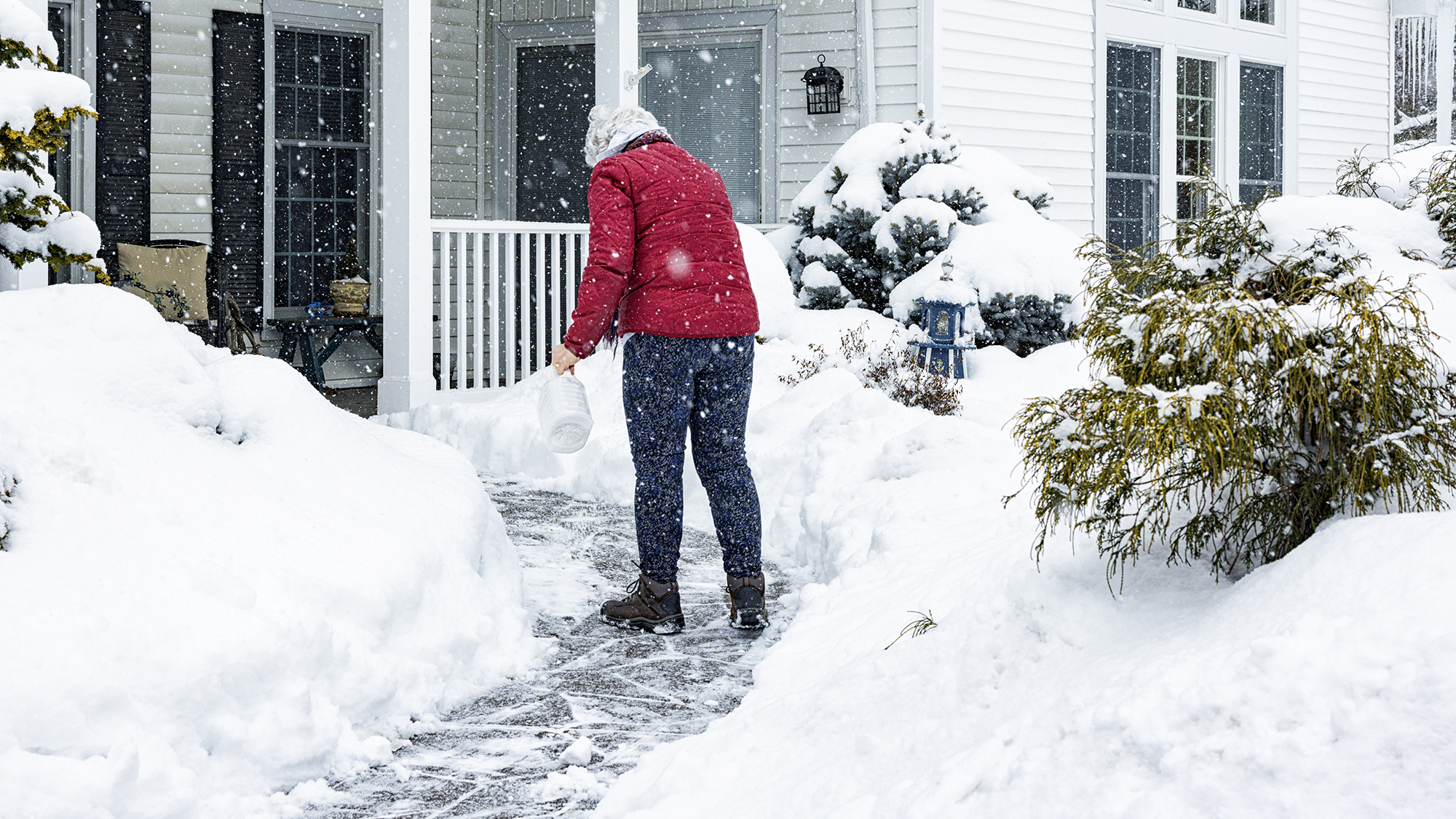 A senior adult woman is sprinkling/spreading de-icing salt crystals on her home's front walkway to melt the slippery ice and snow.
