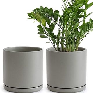 Amazon ceramic planters