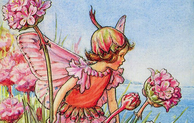 DGWYME Flower Fairies Illustration by Cicely Mary Barker - The Thrift Fairy, 1934