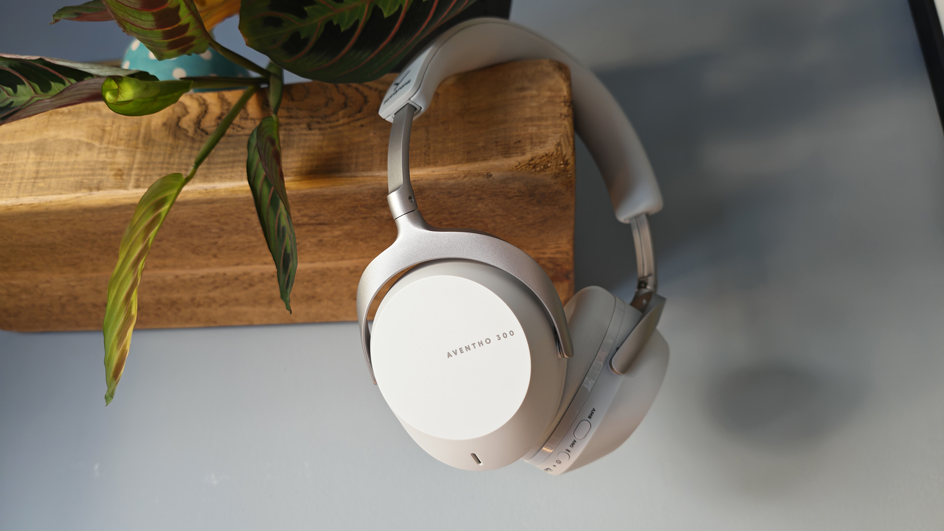 The Beyerdynamic Aventho 300s