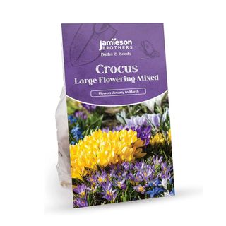 Crocus Bulbs - Large Flowering Mixed 16 Bulbs