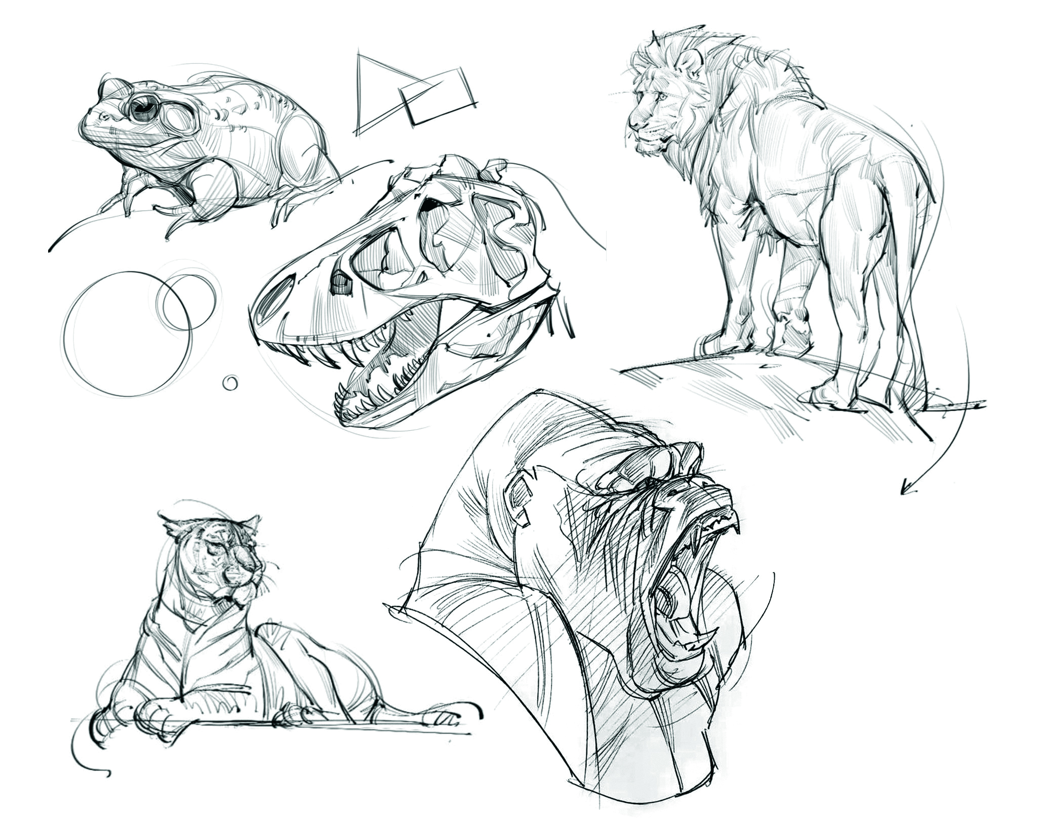 An example from a figure drawing tutorial 
