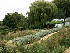 OmVed Gardens overview of green field and glasshouses