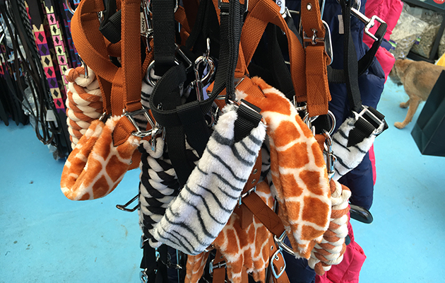 Badminton shopping 2016 11